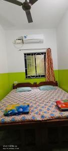 巴加的住宿－Luiza Guest House，绿色墙壁间的一张床位