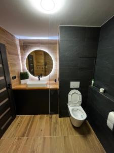 a bathroom with a toilet and a sink and a mirror at Spaní na paletách kousek od centra Hradce Králové in Hradec Králové