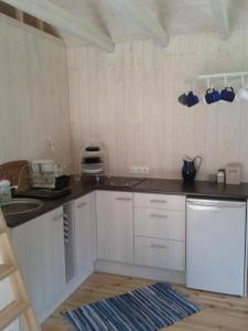 Kuchyň nebo kuchyňský kout v ubytování Tirbi Holiday House + 4 fotografie