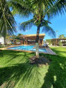 a palm tree in front of a house with a swimming pool at Vila Eco SPA in Areia Branca