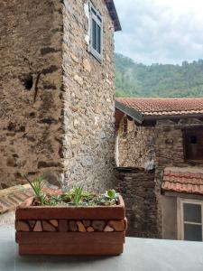 皮尼亞的住宿－sax & rosa，建筑前的石头建筑,有种植园