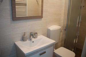 a bathroom with a sink and a toilet and a mirror at Mike's Rooms in Kobarid +16 photos