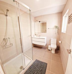 e bagno con doccia, servizi igienici e lavandino. di Precioso apartamento en el centro de Torremolinos a Torremolinos