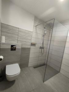 a bathroom with a toilet and a glass shower at Apartments and rooms pri Bašlju in Cerkno