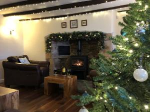 a living room with a christmas tree and a fireplace at Church View - c. 1750 cosy character cob cottage. in Hatherleigh