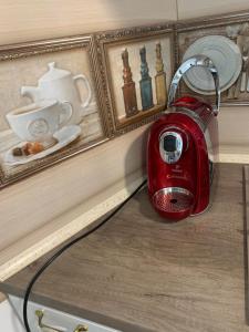 a red toaster sitting on a counter next to a wall at Apartament Micsunelelor in Iaşi