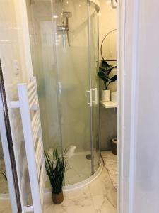 a glass shower in a bathroom with a potted plant at MeeZee Pearl Double Bed Lodge With Free Parking in Manchester