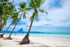 um grupo de palmeiras numa praia com o oceano em Shorebreak Boracay Resort em Boracay