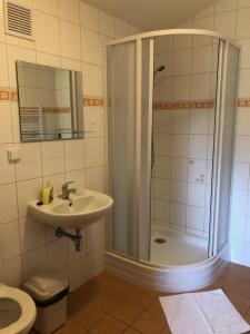 ein Bad mit einer Dusche, einem Waschbecken und einem WC in der Unterkunft APARTMÁNY SMRAĎAVKA č.ev.52 in Buchlovice