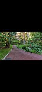 a path in a park with trees and plants at Dernier Etage d'exception in Nice