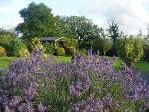Giardino di Moor View