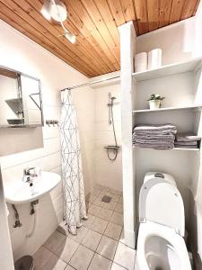 een badkamer met een toilet en een wastafel bij Rebslagerhuset in Ribe