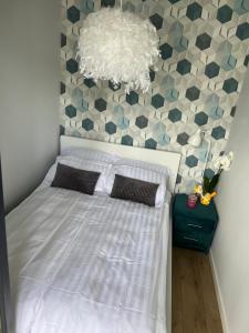 um quarto com uma cama com uma parede xadrez em Marcinkowskiego 11 - 2 em Katowice