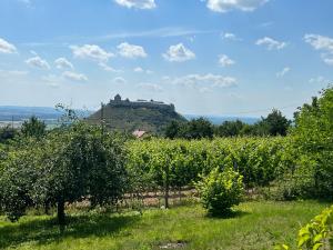 a castle on top of a hill in an apple orchard at Szőlőhegy Vendégház Sümeg in Sümeg