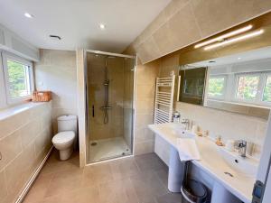 uma casa de banho com um chuveiro, um lavatório e um WC. em Le Clos Joli em Haybes