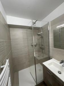 W łazience znajduje się prysznic i umywalka. w obiekcie Appartement T2 de charme les minimes w La Rochelle