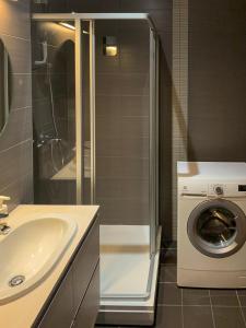 a bathroom with a sink and a washing machine at Park Apartments in Druskininkai