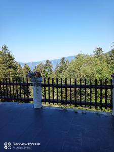 Una cerca negra con un jarrón de flores. en Chambre La Séquoiane Col de Turini, 