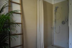 eine Dusche mit Glastür neben einer Pflanze in der Unterkunft CividaleMia, casa vacanza in Cividale del Friuli