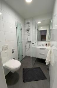 uma casa de banho com um chuveiro, um WC e um lavatório. em Hell, gemütlich, zentral - Appartement am Dom em Braunschweig