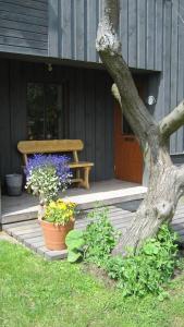 Billede fra billedgalleriet på Viesu māja Zvilnis i Pāvilosta