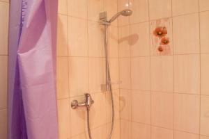 Gallery image of Viesu māja Zvilnis in Pāvilosta