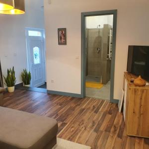 a living room with a walk in shower and a television at Jégmadár Apartman in Debrecen