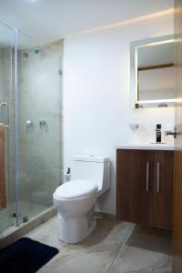 een badkamer met een toilet, een douche en een wastafel bij Kolben Nuoma in Mexico-Stad