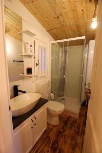 Ένα μπάνιο στο Căsuța din vale +76 φωτογραφίες