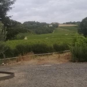 vistas a un campo verde con una valla en Virginie et Serge, en Fuissé