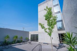 a small tree in front of a building at +MS +Loft Coworking +Vigilancia 24hrs +Internet 504 in Laborcillas