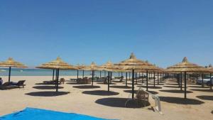 a beach with many straw umbrellas and chairs and the ocean at easy rent in porto sharm in Sharm El Sheikh