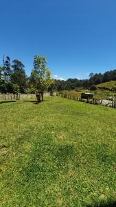 un campo de hierba verde con una vaca en el fondo en Casa Lucía - Guatapé, en Guatapé