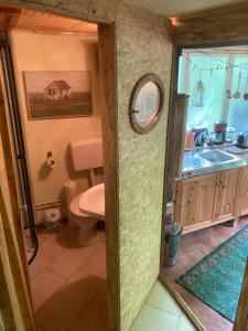 a bathroom with a toilet and a sink at Bungalow Biberspur in Zieko +39 photos