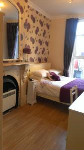 a bedroom with a bed with a fireplace and a mirror at Wexford Town Apartment in Wexford
