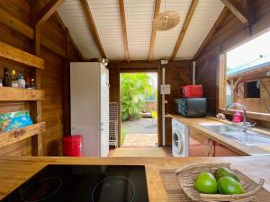 uma cozinha com um balcão com um frigorífico e um lavatório em Bungalow Kataliya em Petit-Bourg