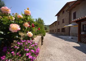Fotografie z fotogalerie ubytování Agriturismo San Severo v destinaci Passignano sul Trasimeno + 36 fotografií