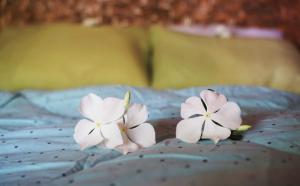 two white flowers sitting on top of a bed at SAME SAME Bungalows by The Spot in Kuta Lombok