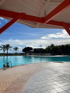 une grande piscine avec de l'eau bleue et des palmiers dans l'établissement Studio Anse des Rochers, à Saint-François