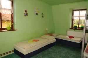 2 Betten in einem Zimmer mit grünen Wänden und Fenstern in der Unterkunft Restaurace a Penzion u Vladaru in Mikulášovice