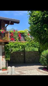 Vonkajšia záhrada v ubytovaní Splendido cottage Lakeview