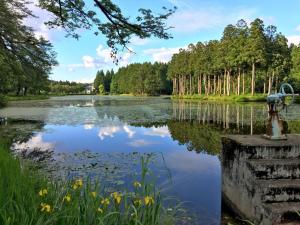 vistas a un estanque en un parque en Koguriyama Sanso - Vacation STAY 37452v en Minami Uonuma
