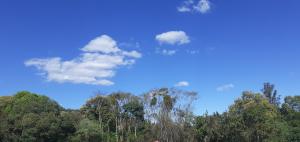 um céu azul e árvores com nuvens no céu em Pousada Recanto das Aves em Socorro