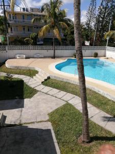 a swimming pool with a palm tree in front of a building at Les Filaos De Pereybere in Pereybere