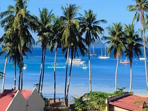 uma vista para uma praia com palmeiras e barcos em Island Hop Inn em El Nido