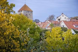 Fotografie z fotogalerie ubytování Mullbärsgårdens Bed and Breakfast v destinaci Visby