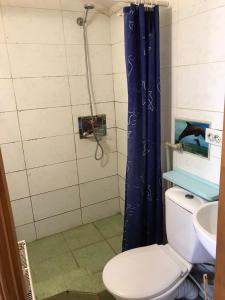 a bathroom with a shower with a toilet and a sink at Shevchenka Guest House от 600гр 1-2-3к квартири 096-55-48-111 біля Академії in Khmelʼnytsʼkyy