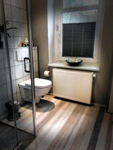 een badkamer met een toilet en een raam bij Das Rübezahl in Bad Elster