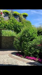 Vonkajšia záhrada v ubytovaní Splendido cottage Lakeview