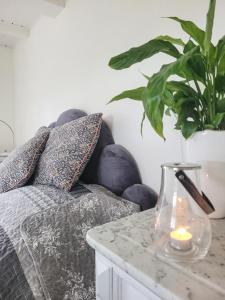 a living room with a couch and a plant at Sunbjerre B&B in Lille Dalby